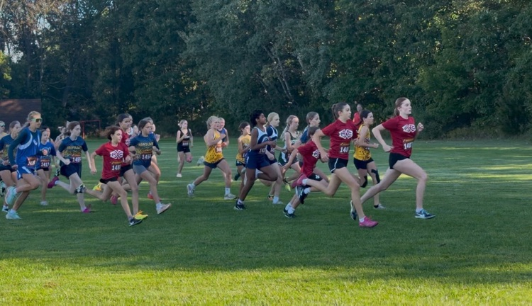 pack of runners at cross country meet