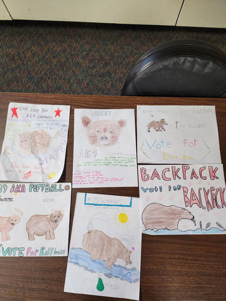 Six hand-drawn posters laid out on a table featuring campaign art for bears, including "Starburst," "Bucky," "Puffball," "Walker," "Backpack," and Bear 610.