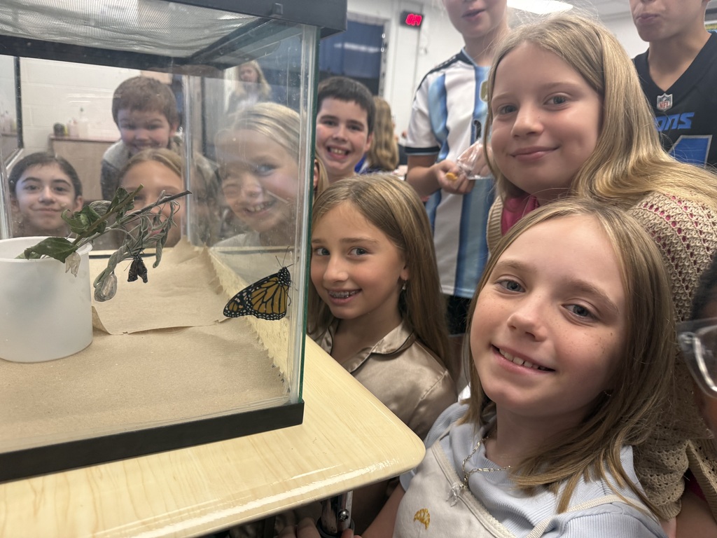 Students in Pierzecki's class observing monarch butterflies