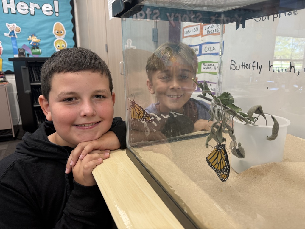 Students observing Monarch Butterflies