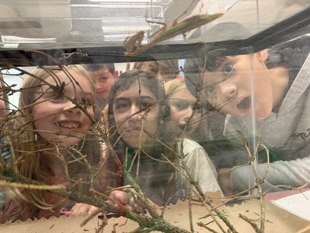 Students in Mrs. Pierzecki's Class observing Praying Mantises.
