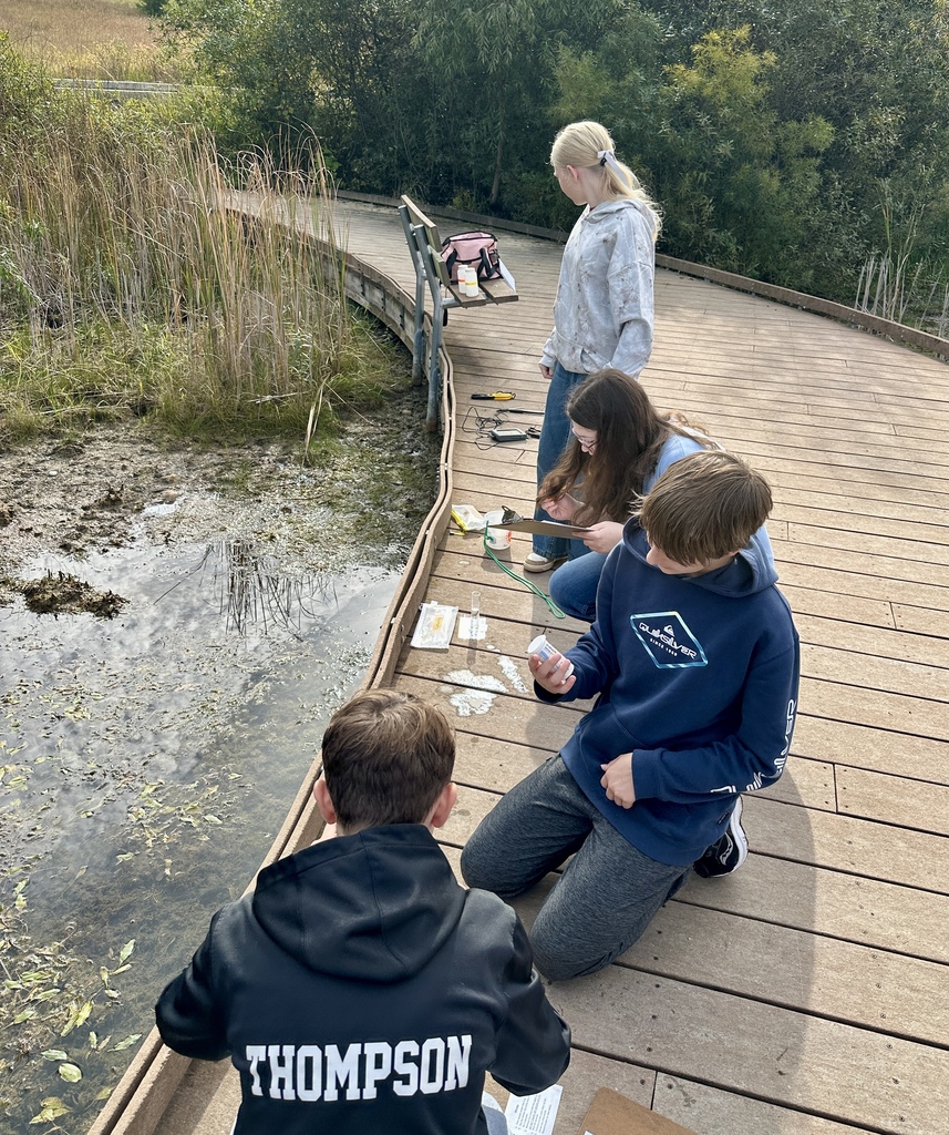 four students gather water for testing on a wooden bridge
