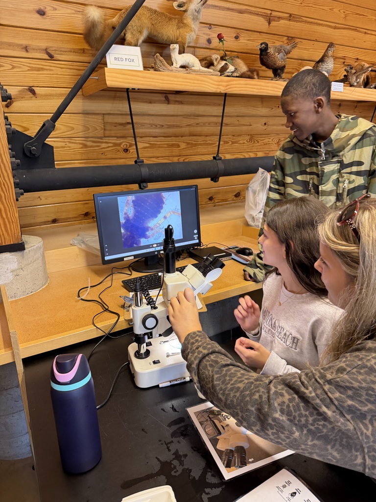 students collaborate with digital microscopes