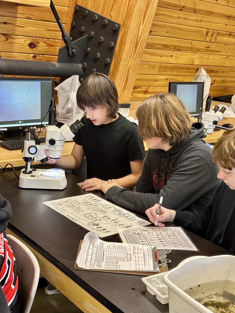 students use microscopes while completing lab sheets