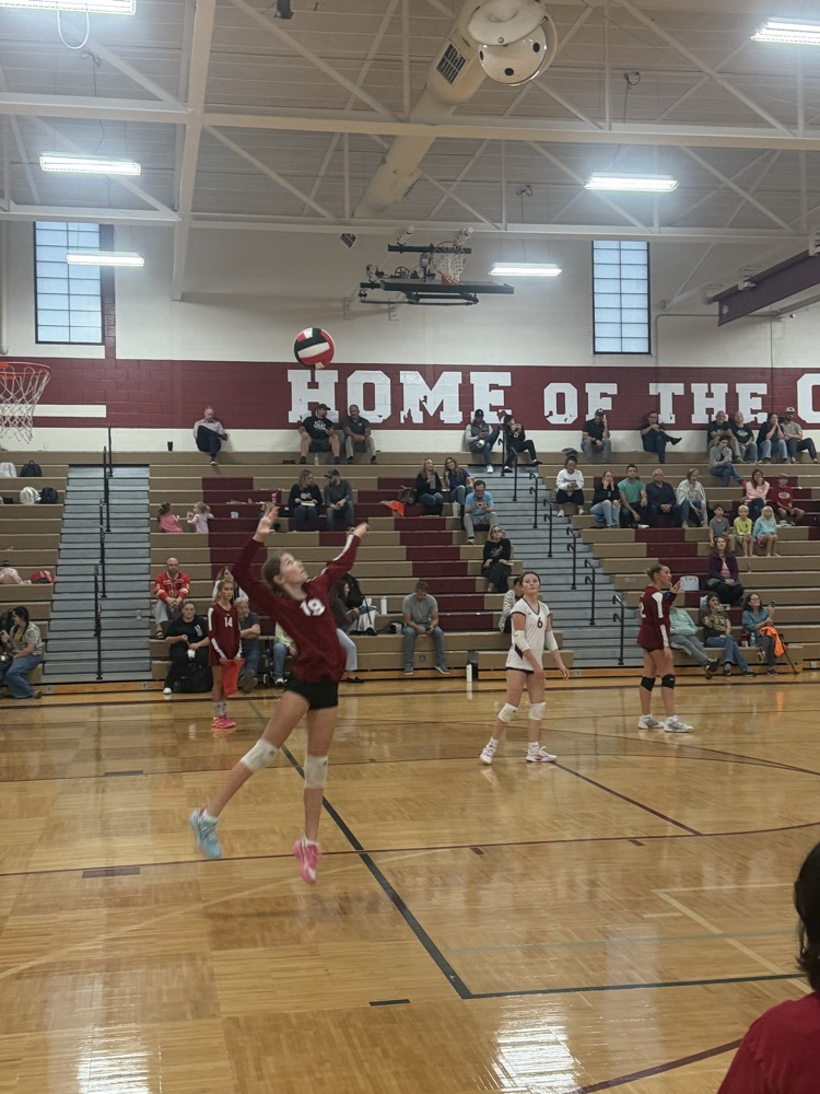 Muir volleyball player hits the ball