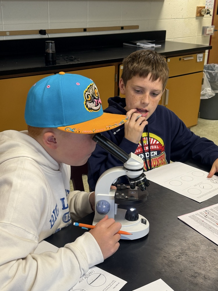 student in hand looking through microscope while another student observes