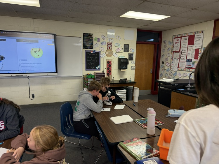 students use microscopes