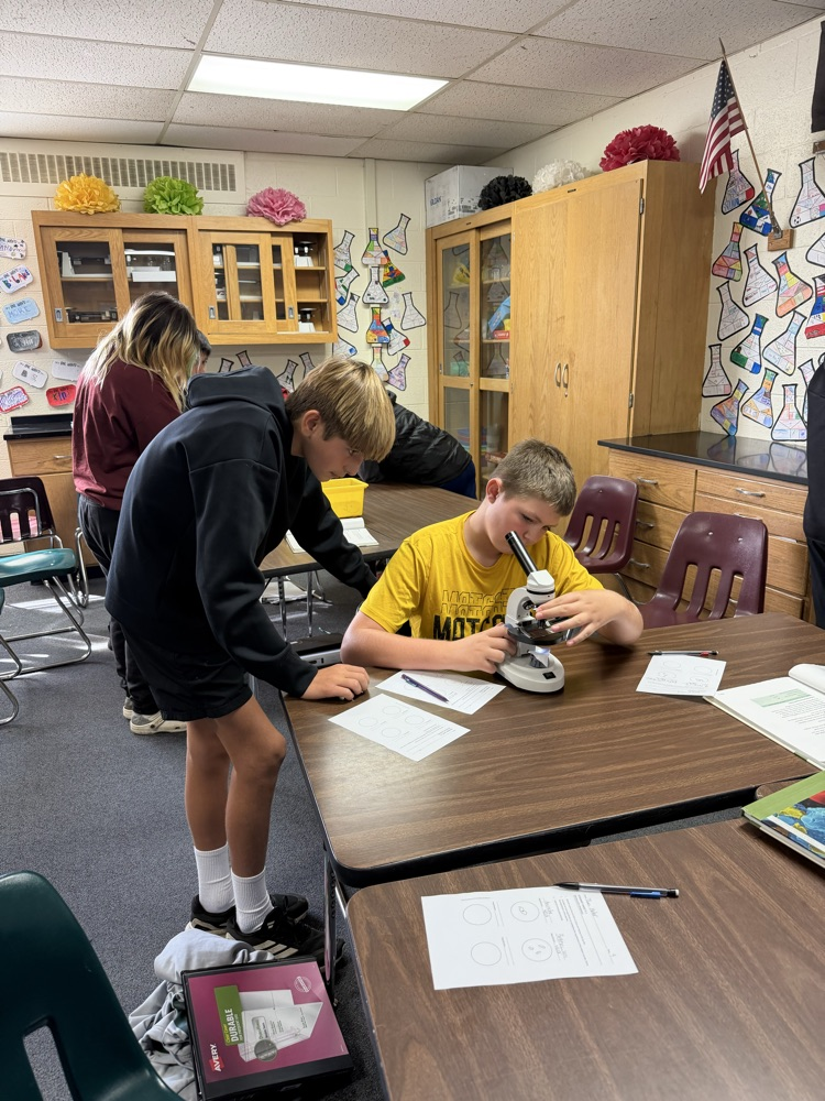 students use microscopes
