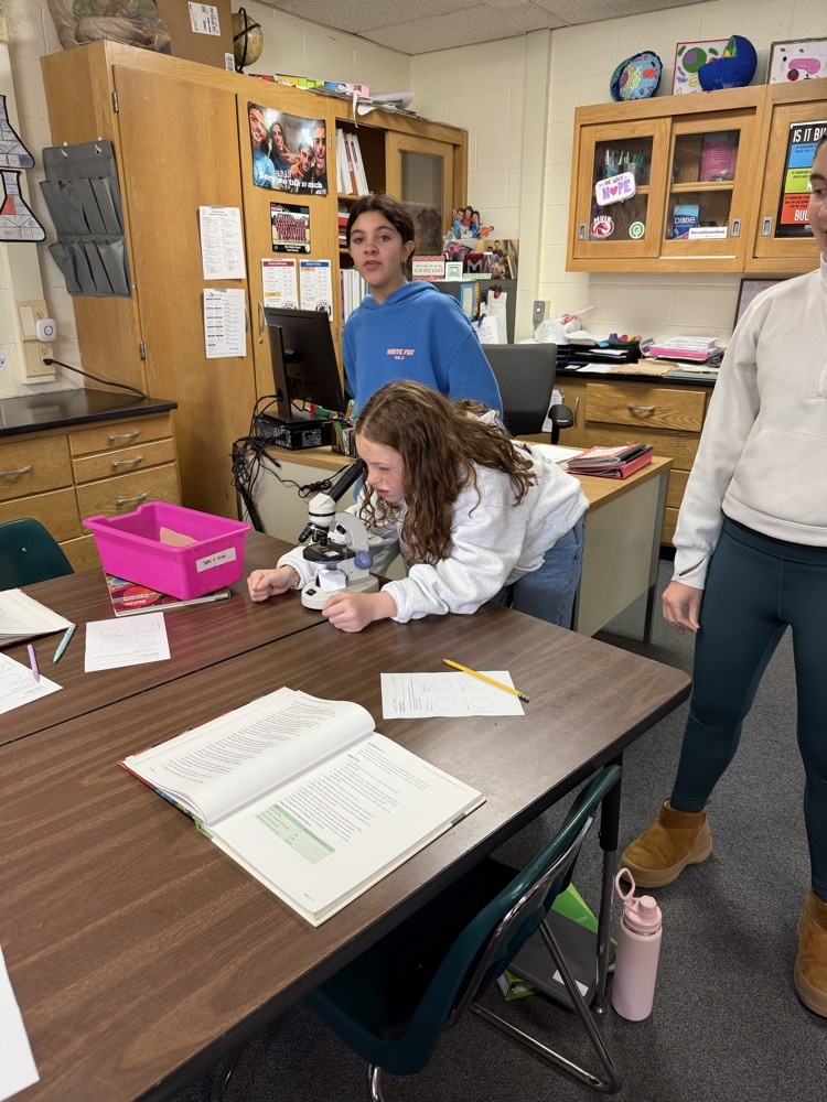 students use microscopes