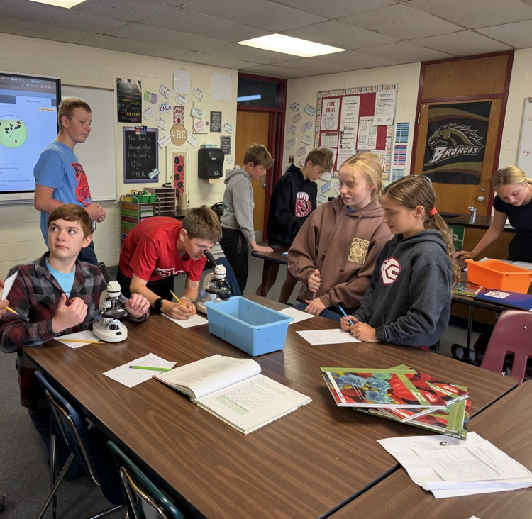 students use microscopes