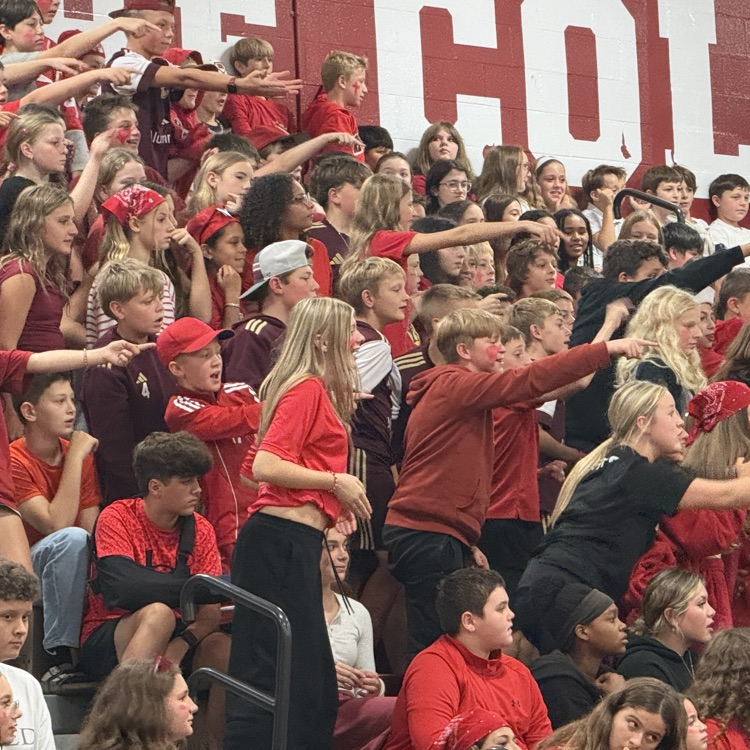 students in red standing and cheering in bleachers