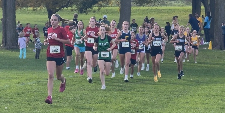action shot of runners in various jerseys 