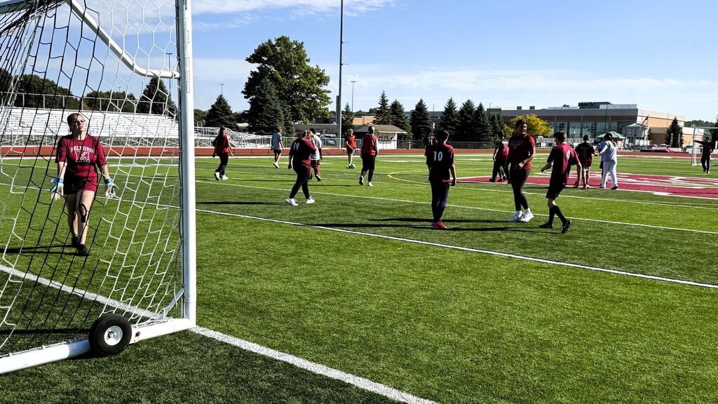 Several soccer players maneuvering for a ball on a field near a goal