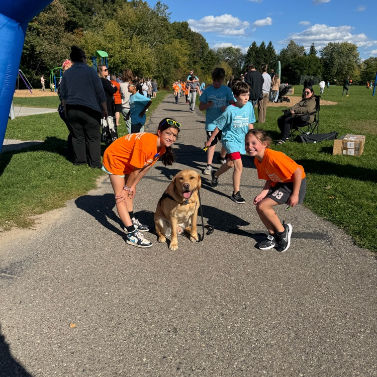 fun run fun