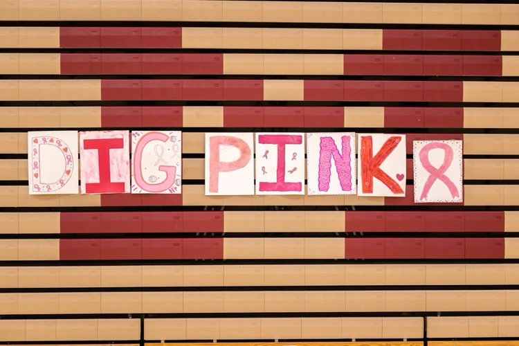 A great night of volleyball for the Mavs on our annual Dig Pink night. The night included celebrating a sweep over Hartland, a record breaking torch passed to Lexa and most importantly, school and community coming together for a great cause! #BeAMAV