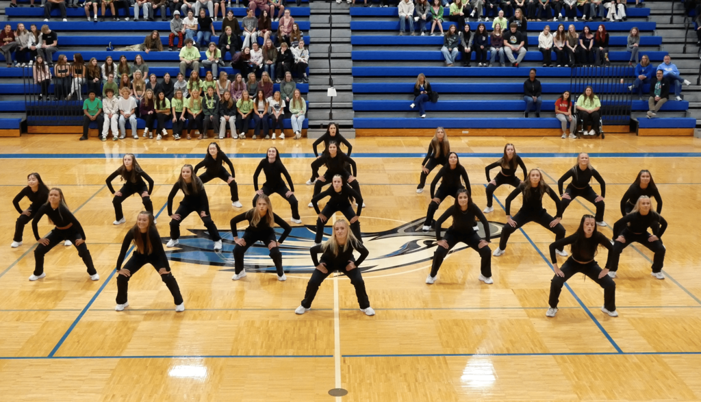 Several students in gym taking part in a dance routine