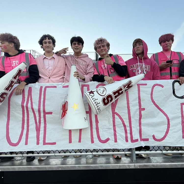 fans wearing pink in the bleachers