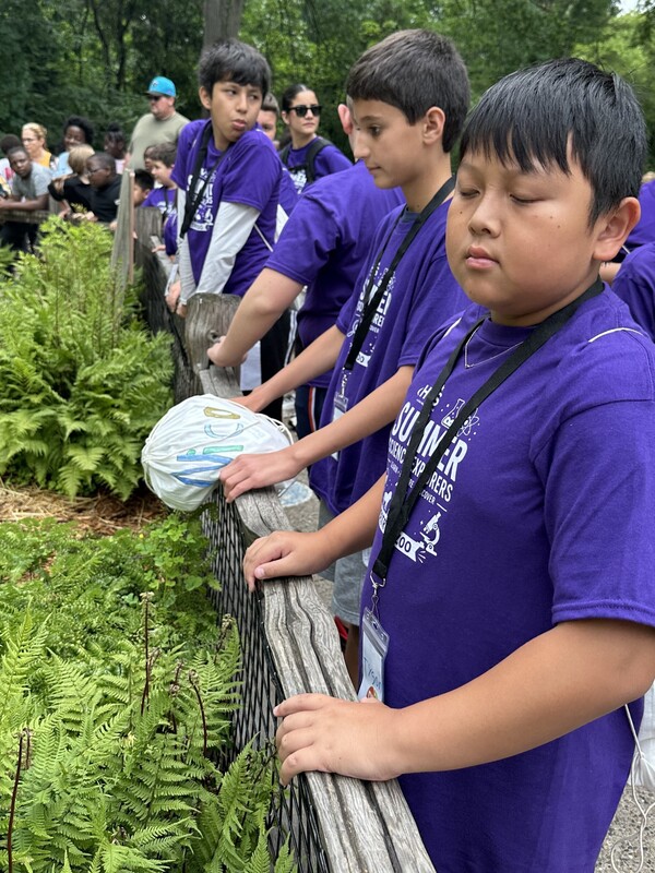 Students looking at exhibit outisde at the zoo