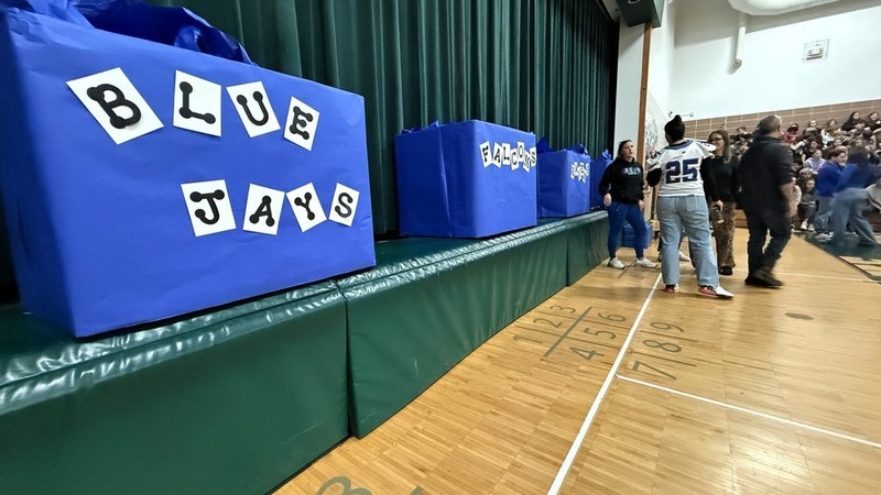 October 2025 - Photo of other mascot ideas on boxes at White Lake Middle School 