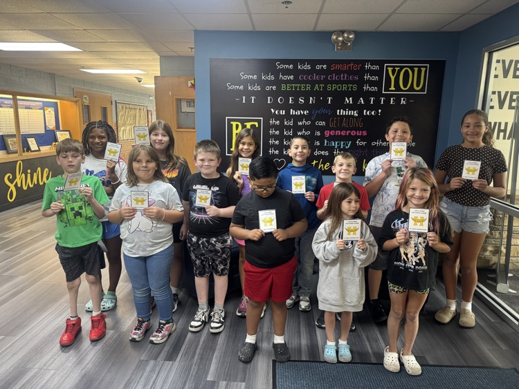 super Salthawk ticket 1