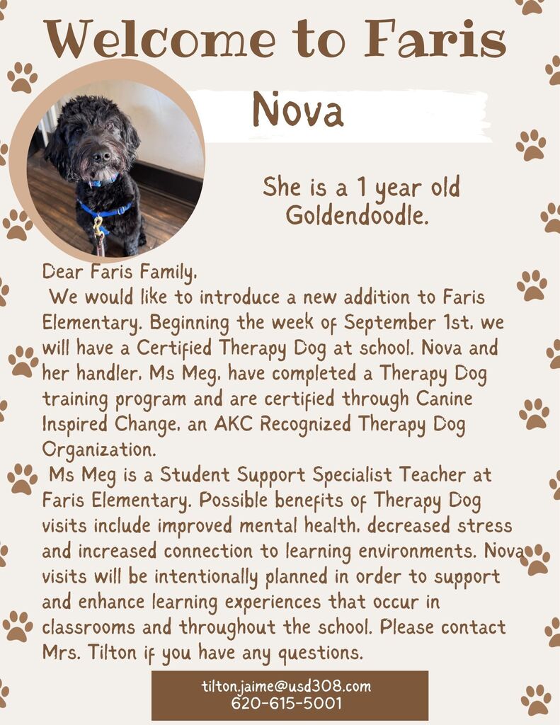 English Nova