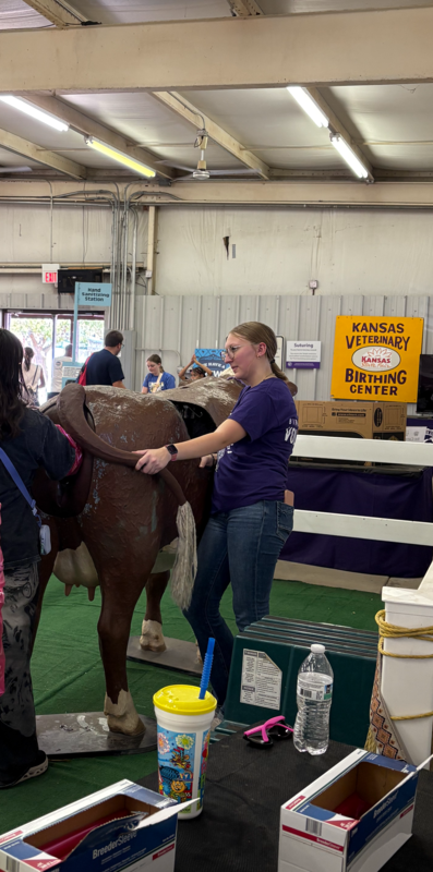 State Fair Birthing Barn