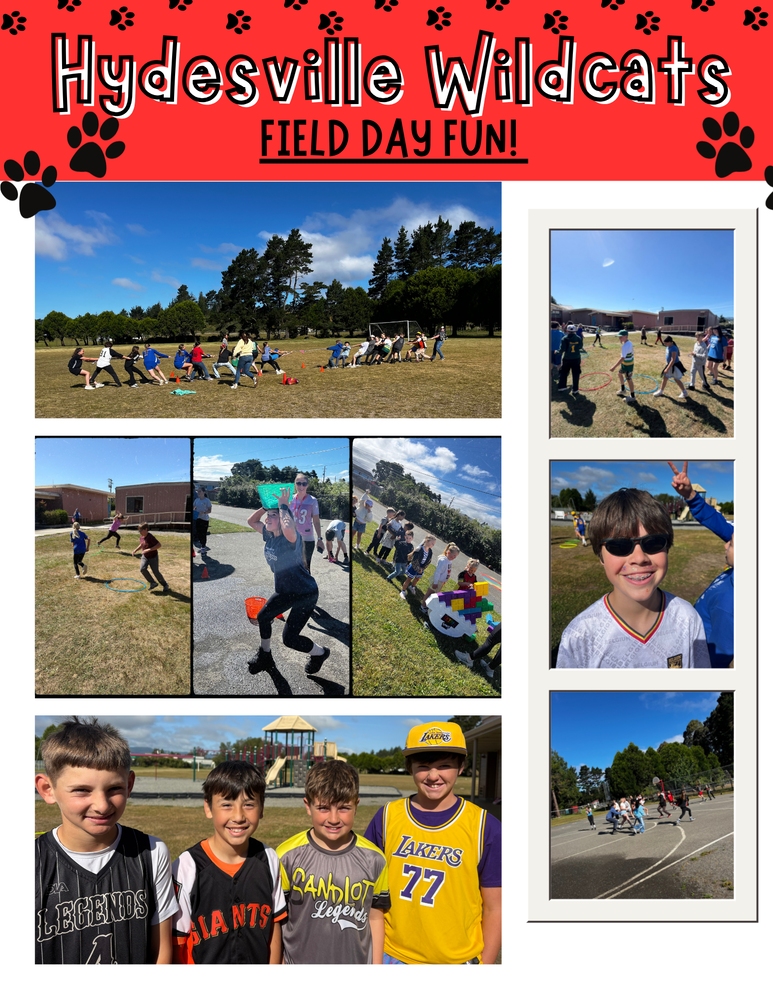 Field Day Fun!