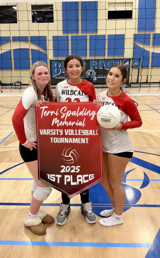 Volleyball awards