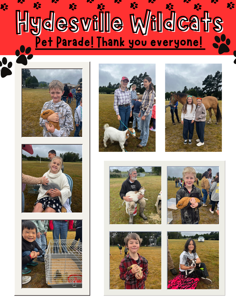 Pet Parade!