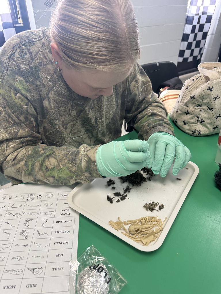 From isolating DNA from strawberries in Forensics during our DNA Evidence Unit to dissecting owl pellets and uncovering tiny skeletons in Zoology’s Bird unit- science is so fun in Mrs.Byrds high school science classroom! 