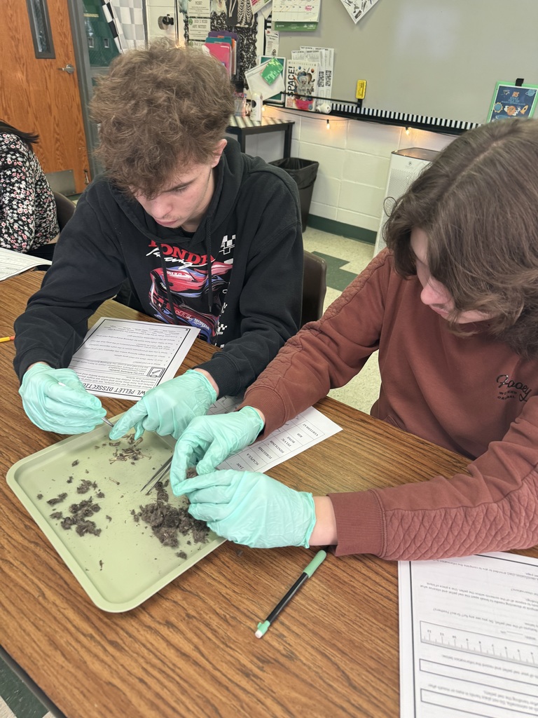 From isolating DNA from strawberries in Forensics during our DNA Evidence Unit to dissecting owl pellets and uncovering tiny skeletons in Zoology’s Bird unit- science is so fun in Mrs.Byrds high school science classroom! 