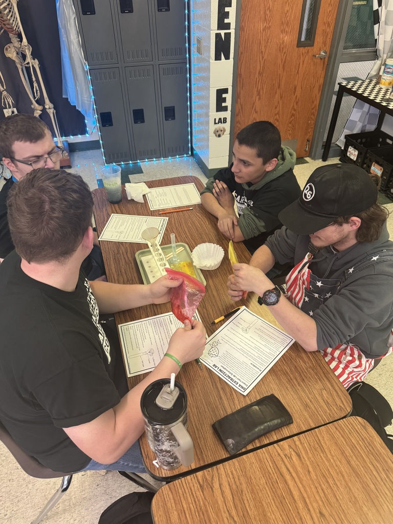 From isolating DNA from strawberries in Forensics during our DNA Evidence Unit to dissecting owl pellets and uncovering tiny skeletons in Zoology’s Bird unit- science is so fun in Mrs.Byrds high school science classroom! 