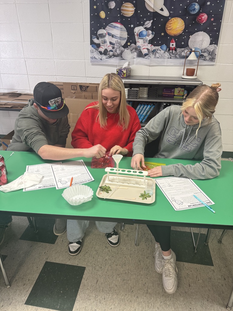 From isolating DNA from strawberries in Forensics during our DNA Evidence Unit to dissecting owl pellets and uncovering tiny skeletons in Zoology’s Bird unit- science is so fun in Mrs.Byrds high school science classroom! 