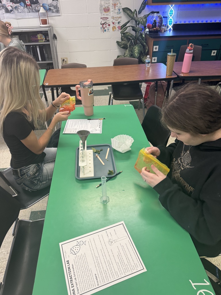 From isolating DNA from strawberries in Forensics during our DNA Evidence Unit to dissecting owl pellets and uncovering tiny skeletons in Zoology’s Bird unit- science is so fun in Mrs.Byrds high school science classroom! 