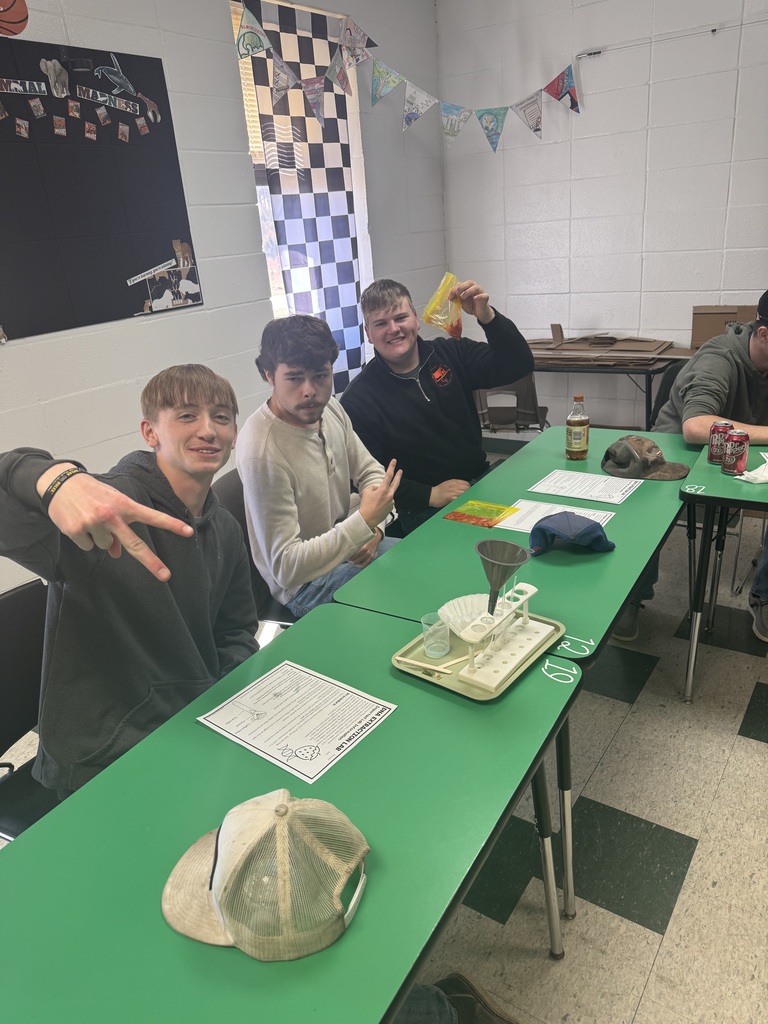 From isolating DNA from strawberries in Forensics during our DNA Evidence Unit to dissecting owl pellets and uncovering tiny skeletons in Zoology’s Bird unit- science is so fun in Mrs.Byrds high school science classroom! 