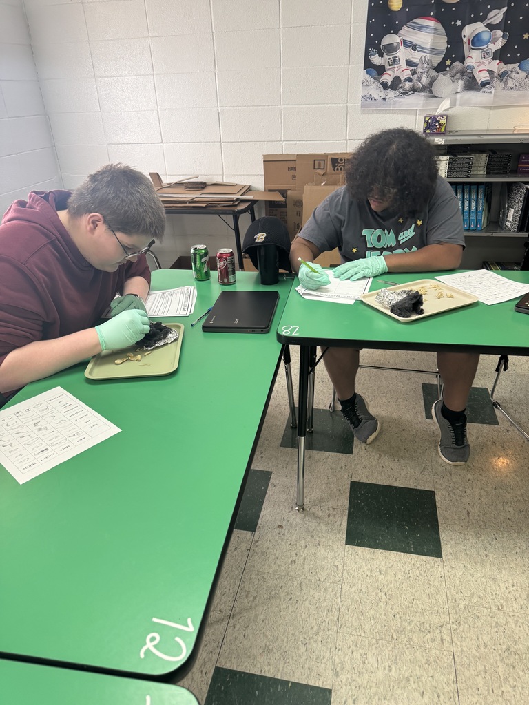 From isolating DNA from strawberries in Forensics during our DNA Evidence Unit to dissecting owl pellets and uncovering tiny skeletons in Zoology’s Bird unit- science is so fun in Mrs.Byrds high school science classroom! 