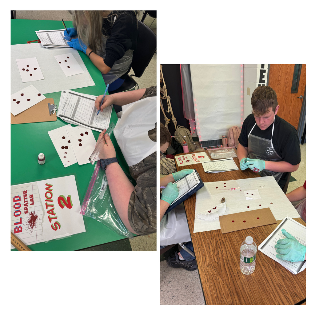 High school Forensics conducted a 🩸Blood Spatter Lab🩸 as part of their blood evidence unit, analyzing how factors like height, angle, and force affect the shape and distribution of blood droplets.