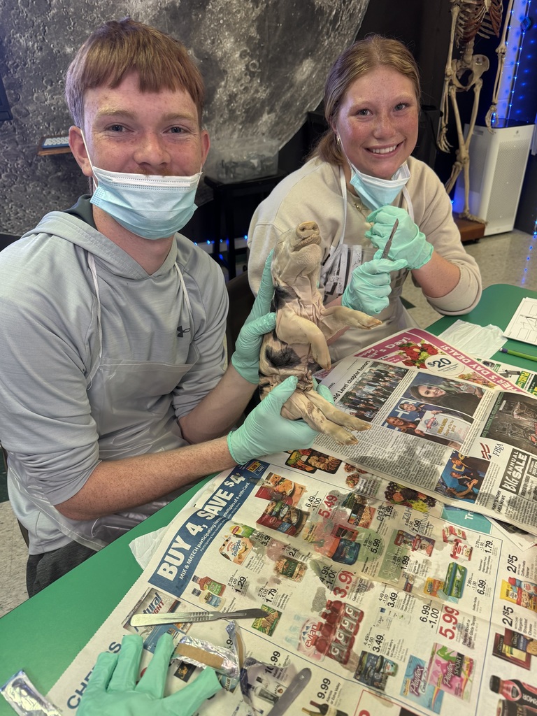 Mrs. Byrd’s Anatomy students finished the year with a fetal pig dissection, putting their knowledge into practice through a hands-on lab. It was a fun and memorable way to close out A&P! 