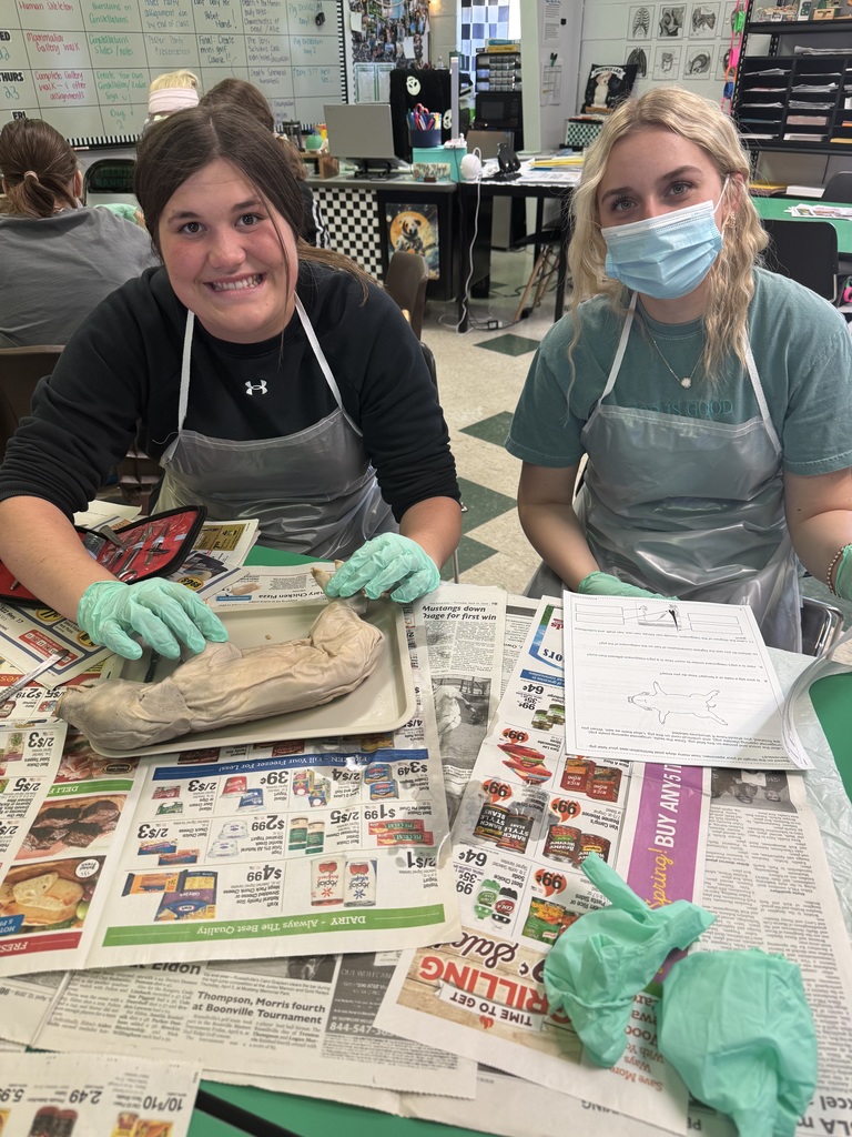 Mrs. Byrd’s Anatomy students finished the year with a fetal pig dissection, putting their knowledge into practice through a hands-on lab. It was a fun and memorable way to close out A&P! 