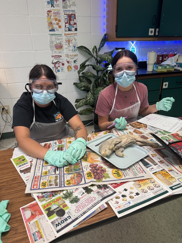 Mrs. Byrd’s Anatomy students finished the year with a fetal pig dissection, putting their knowledge into practice through a hands-on lab. It was a fun and memorable way to close out A&P! 