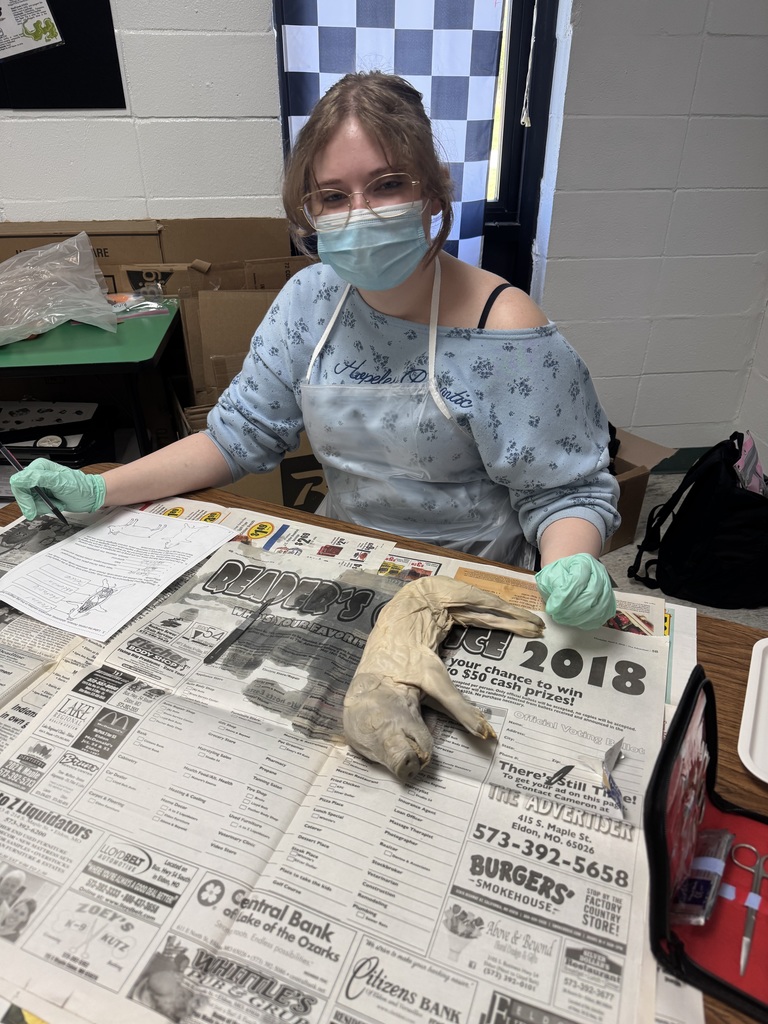 Mrs. Byrd’s Anatomy students finished the year with a fetal pig dissection, putting their knowledge into practice through a hands-on lab. It was a fun and memorable way to close out A&P! 