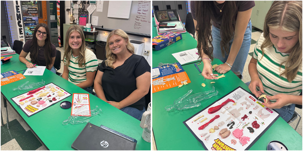 In Mrs. Byrd’s A&P Class, students followed guiding questions and began exploring the human body using the Squish and Learn body models. This hands-on activity introduced students to the major body systems they will be learning and exploring throughout the year.