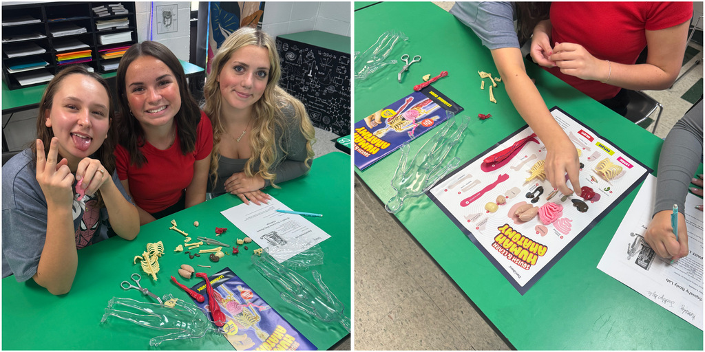 In Mrs. Byrd’s A&P Class, students followed guiding questions and began exploring the human body using the Squish and Learn body models. This hands-on activity introduced students to the major body systems they will be learning and exploring throughout the year.