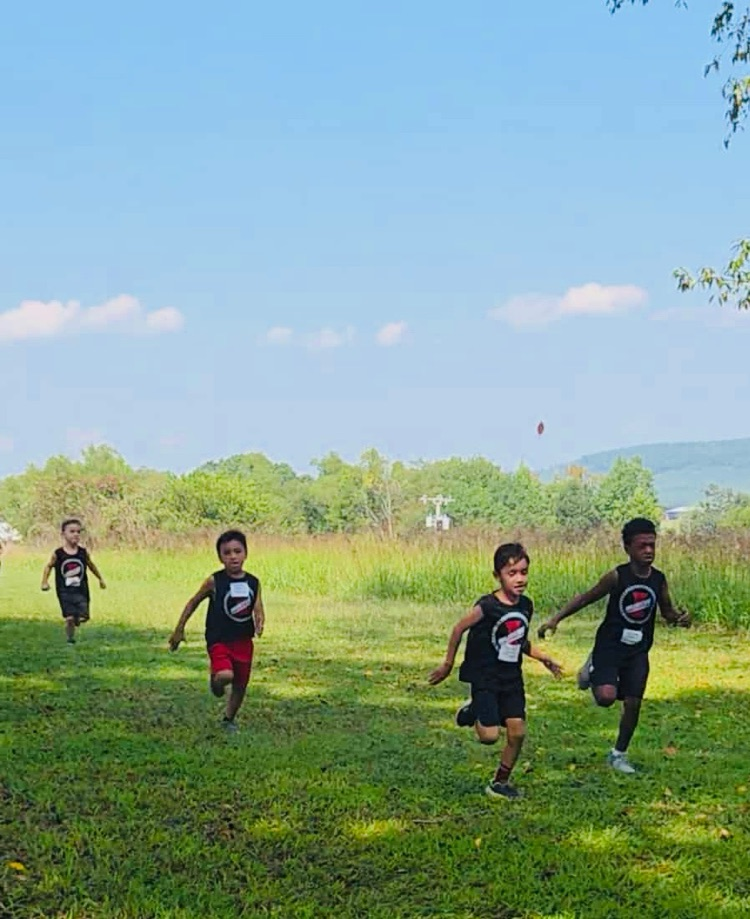 xc