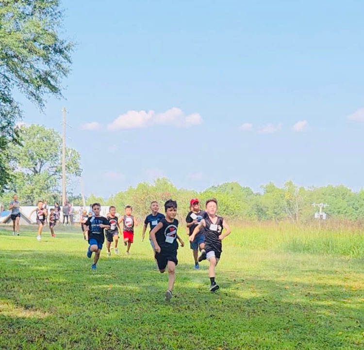 xc