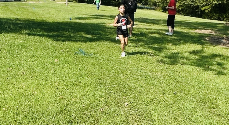 xc
