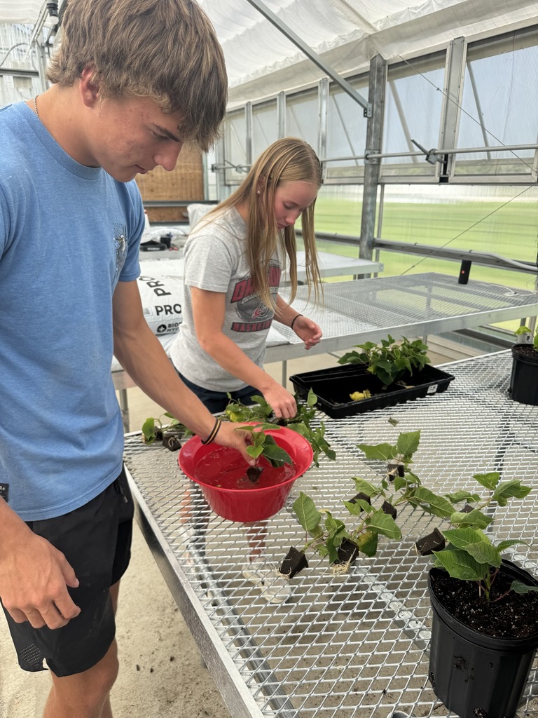 Greenhouse