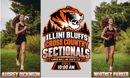 Sectional