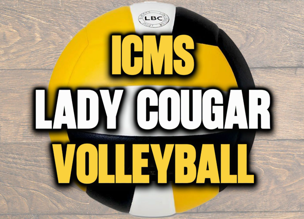 ICMS Volleyball Open Gym Info