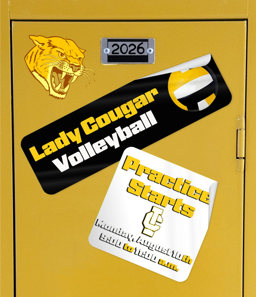 ICHS Volleyball Practice Starts Monday, August 10th